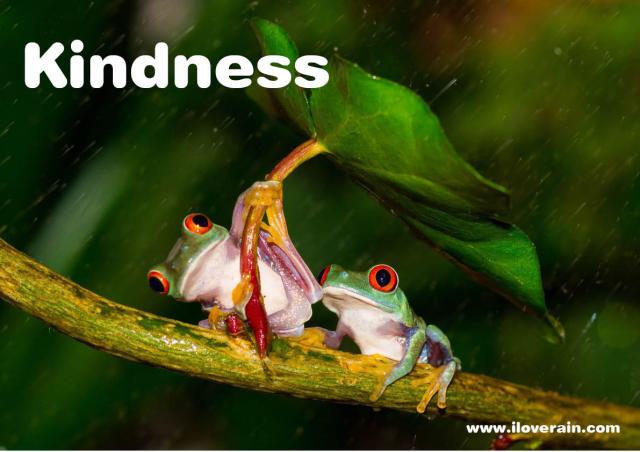kindness poster