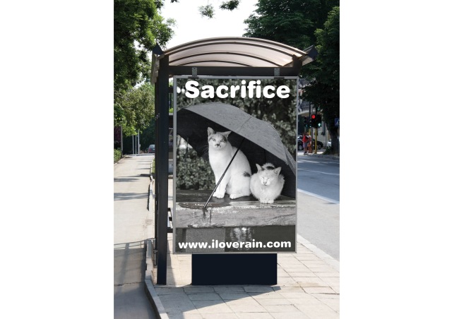 sacrifice on bus shelter